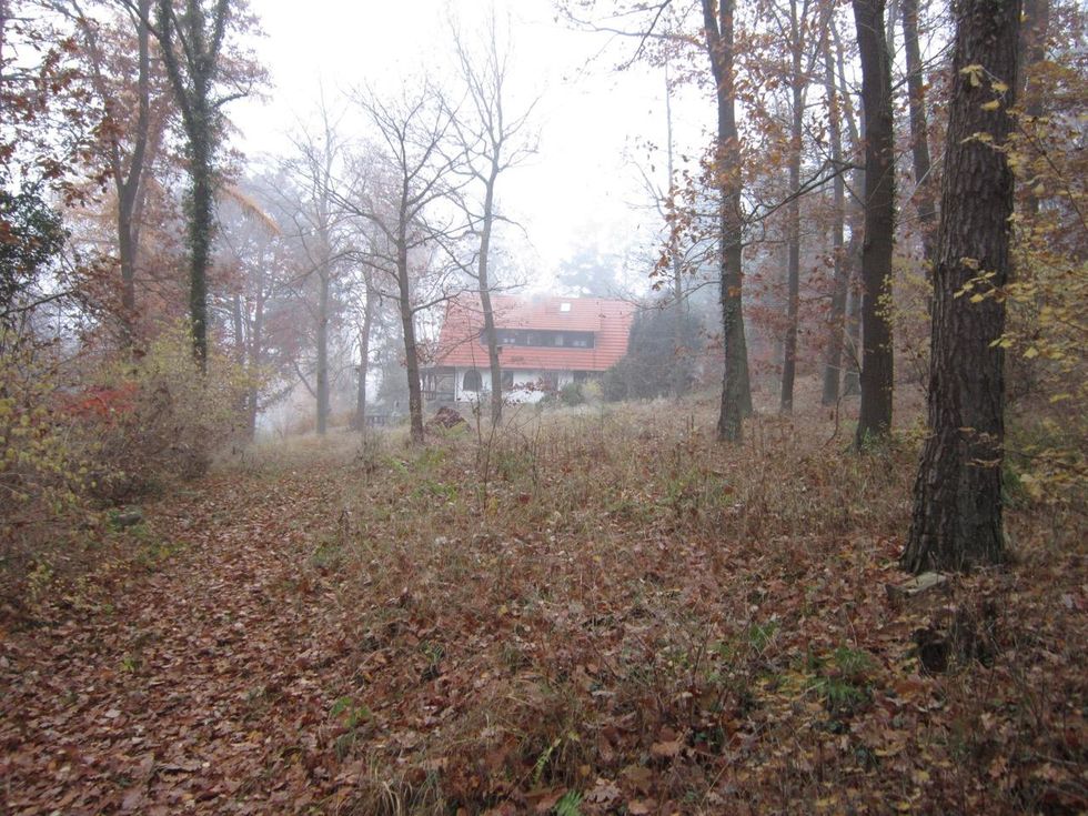 9000 m² Waldgrundstück, Blick auf das Haus im Herbst