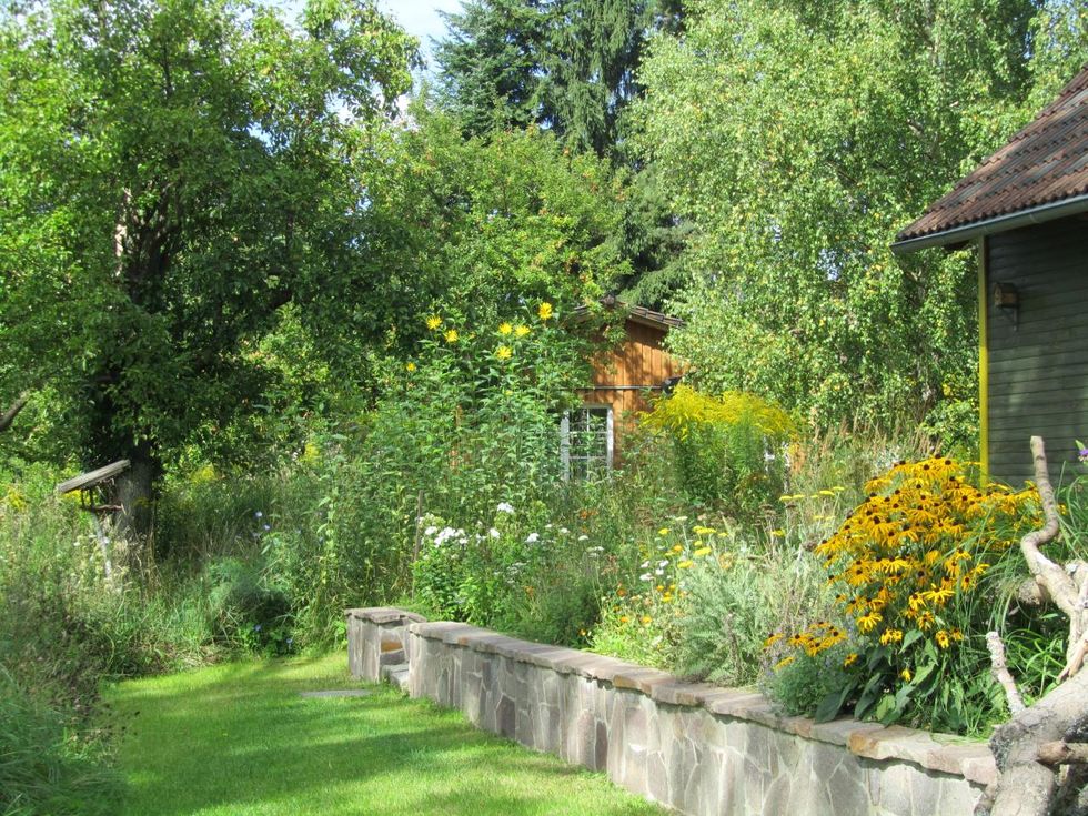 Terrasse vom Weidenhaus - eingewachsen in "wilder" Natur