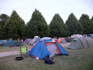 Unser Campingplatz liegt direkt am Carwitzer See